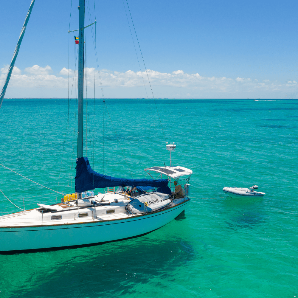 Epropulsion SPIRIT 1.0 Plus 3HP Electric Outboard Motor - Long Shaft Model