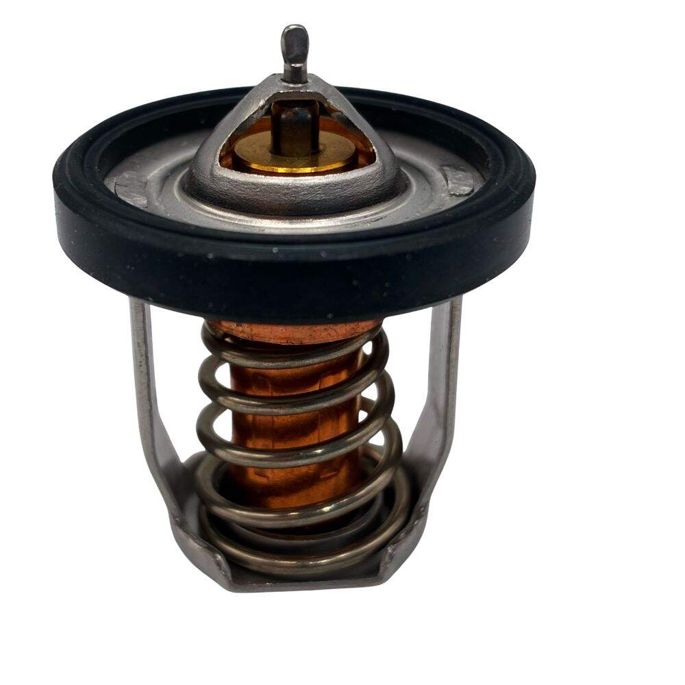 Suzuki Water Thermostat (60°) 17670-98L20
