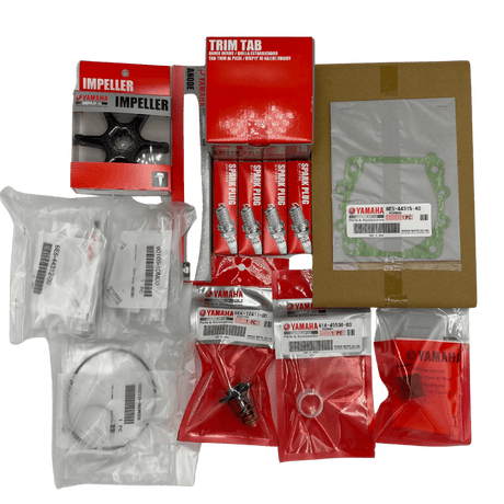 Yamaha 100Hr Service Kit 6EK-W006A-00