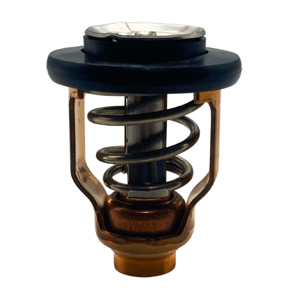 Yamaha Thermostat in bag 60V-12411-00