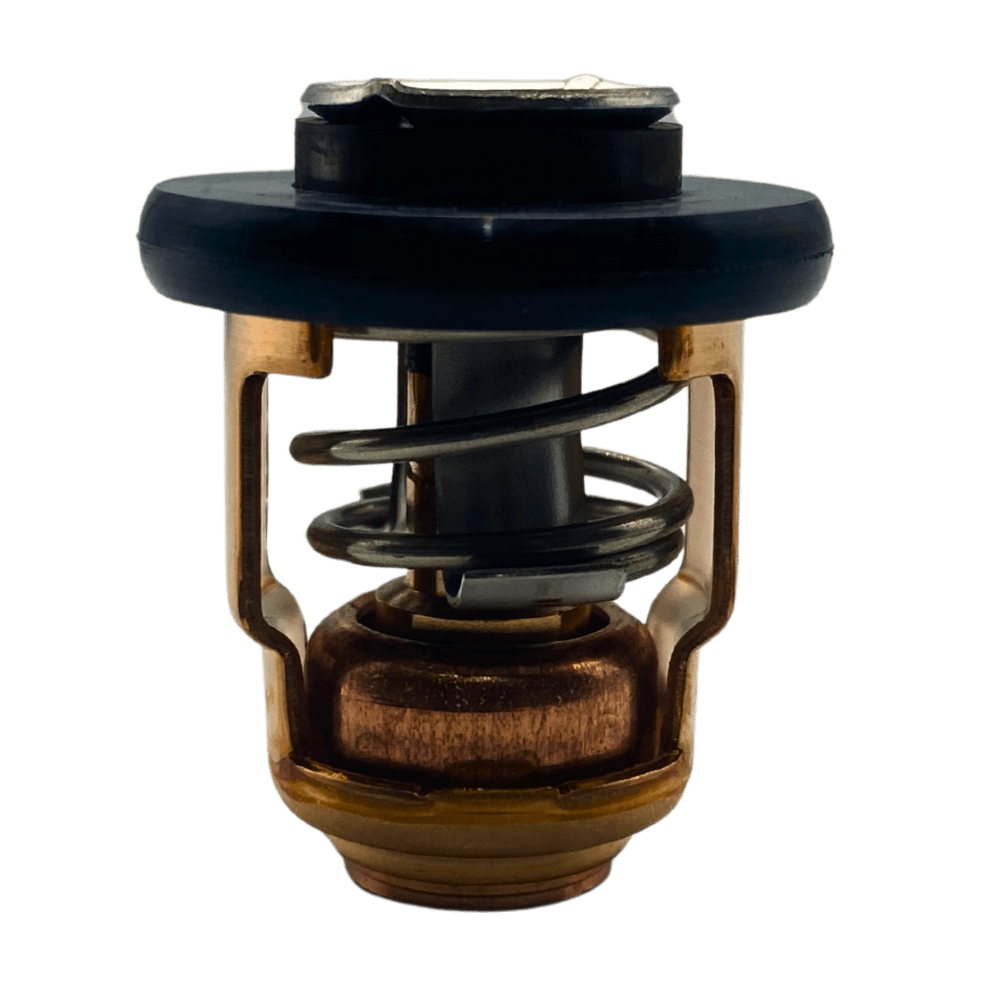 Yamaha Thermostat in bag 66m-12411-00