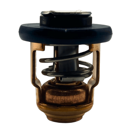 Yamaha Thermostat in bag 66m-12411-00