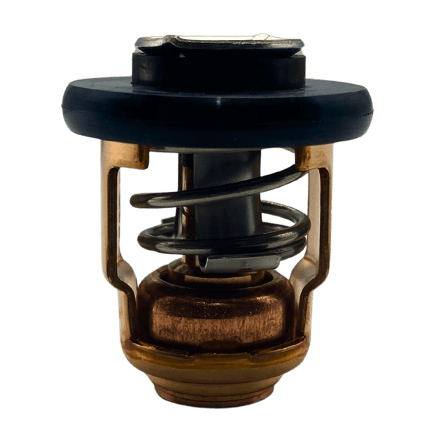 Yamaha Thermostat in bag 66m-12411-00