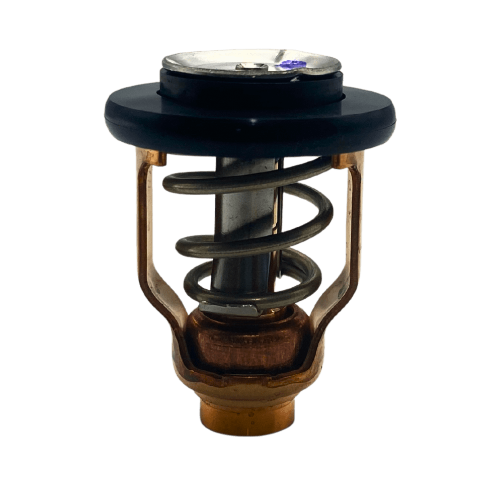 Yamaha Thermostat out of bag 67F-12411-01-00