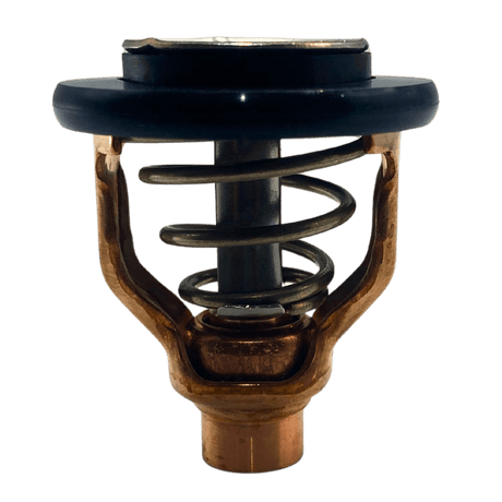 Yamaha Thermostat out of bag 6AW-12411-00