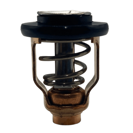 Yamaha Thermostat out of bag 6CE-12411-00