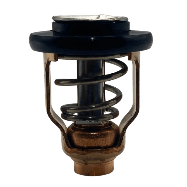 Yamaha Thermostat out of bag 6CE-12411-00