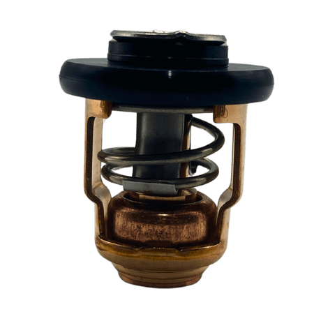 Yamaha Thermostat out of bag 6E5-12411-00