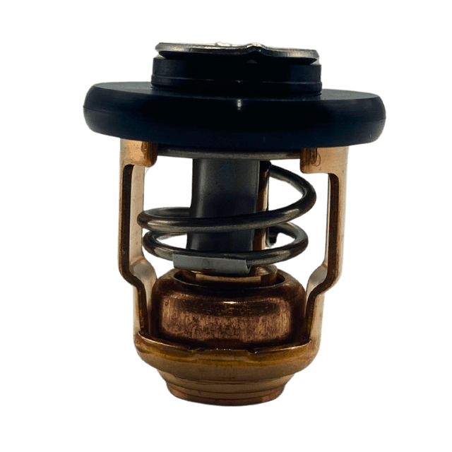 Yamaha Thermostat out of bag 6E5-12411-00