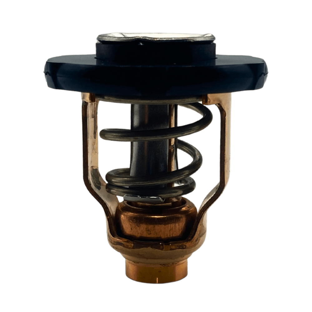 Yamaha Thermostat out of bag 6EK-12411-00