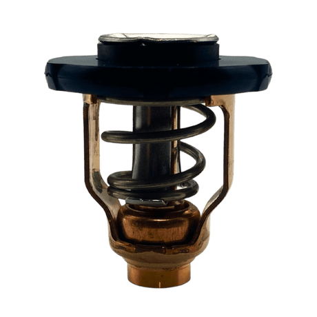 Yamaha Thermostat out of bag 6EK-12411-00