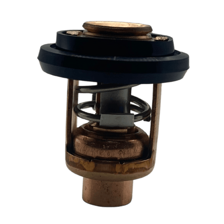 Yamaha Thermostat out of bag 6F5-12411-03-00