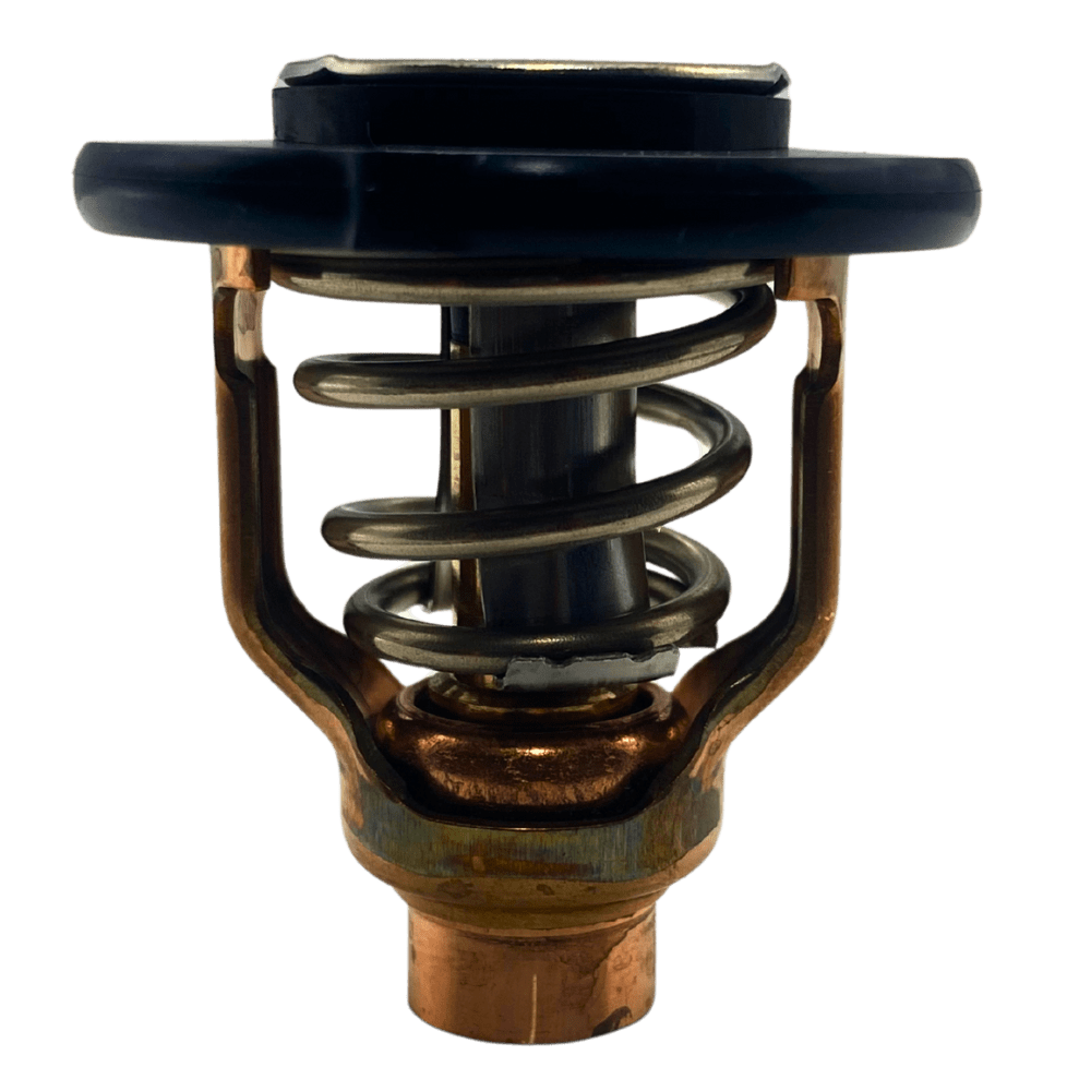 Yamaha Thermostat out of bag 6GR-12411-00