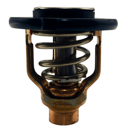 Yamaha Thermostat out of bag 6GR-12411-00