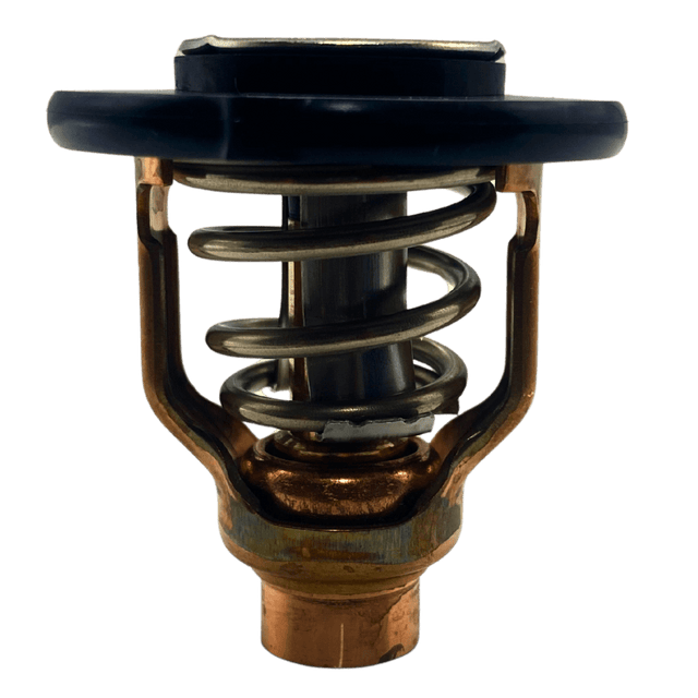 Yamaha Thermostat out of bag 6GR-12411-00