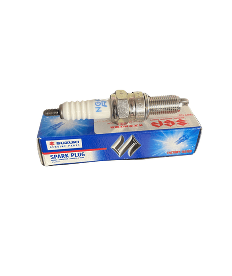 NGK outboard Spak Plug