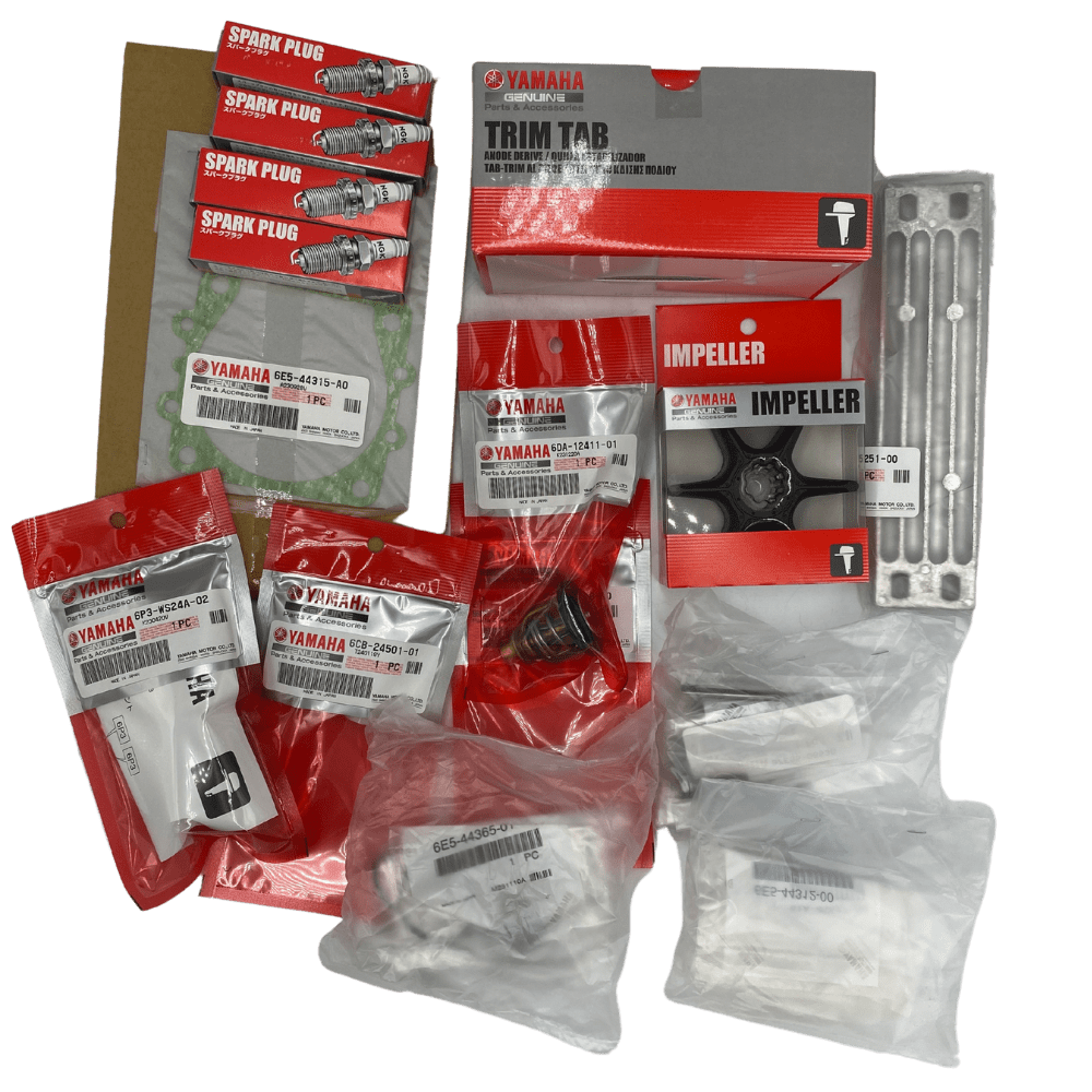 Yamaha 100Hr Service Kit 6DA-W006A-00