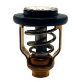 Yamaha Thermostat in bag 60V-12411-00
