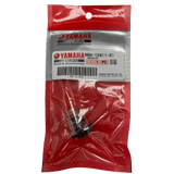 Yamaha Thermostat in bag 66M-12411-00