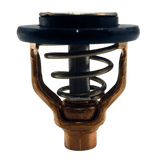 Yamaha Thermostat out of bag 6AW-12411-00