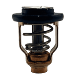 Yamaha Thermostat out of bag 6CE-12411-00 