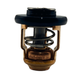 Yamaha Thermostat out of bag 6E5-12411-00