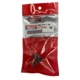 Yamaha Thermostat in bag 6E5-12411-00