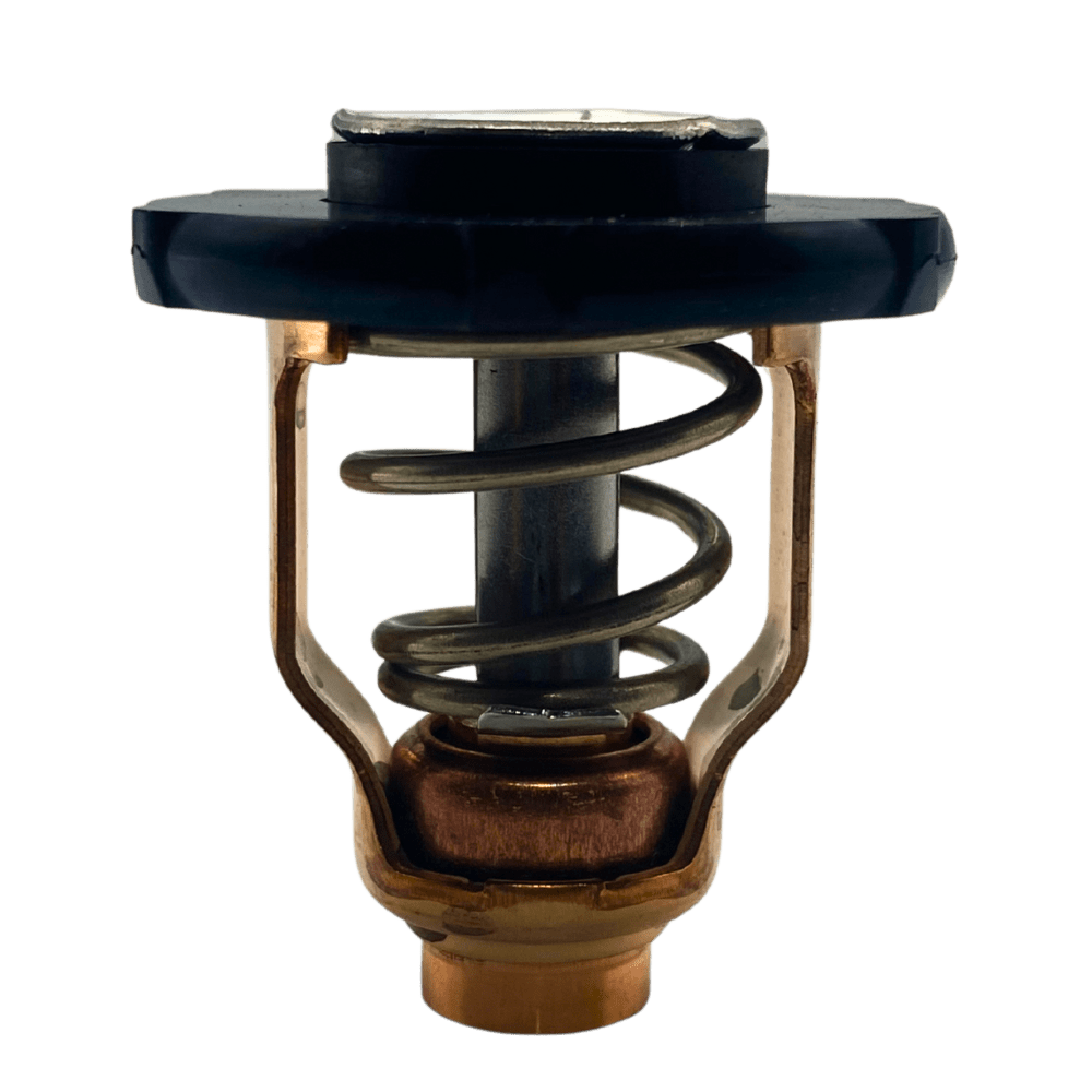 Yamaha Thermostat out of bag 6FP-12411-00