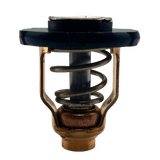 Yamaha Thermostat out of bag 6FP-12411-00