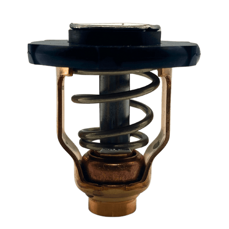 Yamaha Thermostat out of bag 6FP-12411-00